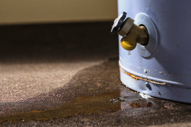 Best Fire Damage Restoration  in Warrensburg, MO