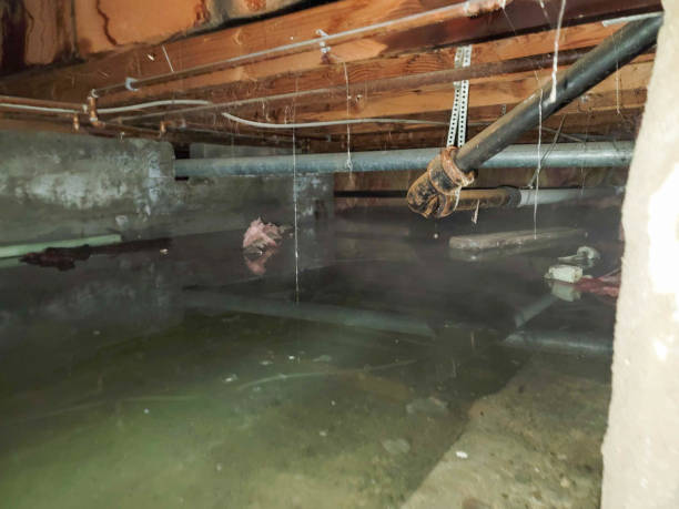 Best 24/7 water damage repair  in Warrensburg, MO