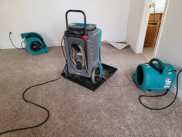 Best Residential water damage restoration  in Warrensburg, MO