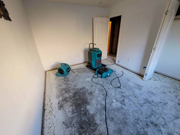 Best Water damage restoration near me  in Warrensburg, MO